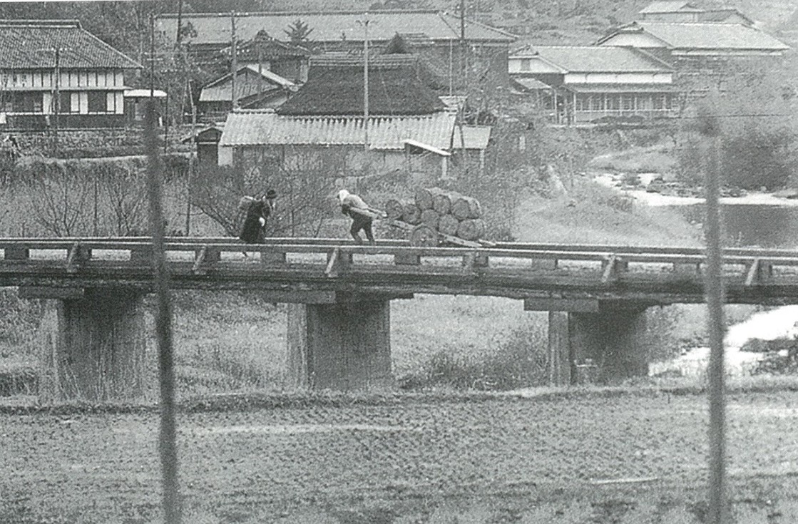 八幡小学校全景3